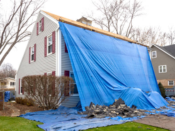 Best Same-Day Junk Removal Services  in Zephyrhills West, FL